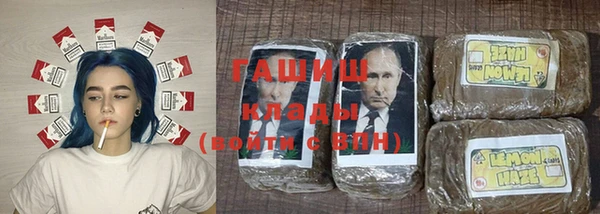 дживик Надым